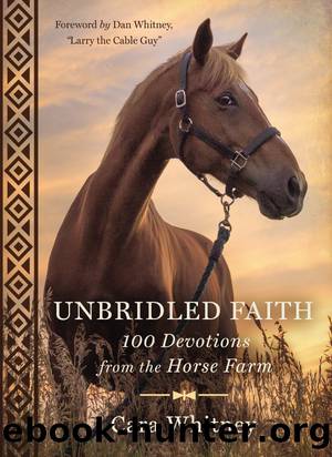 Unbridled Faith by Cara Whitney
