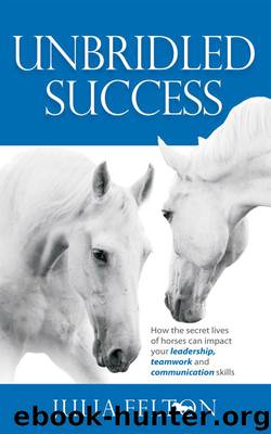 Unbridled Success by Julia Felton