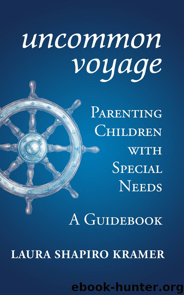 Uncommon Voyage by Laura Shapiro Kramer