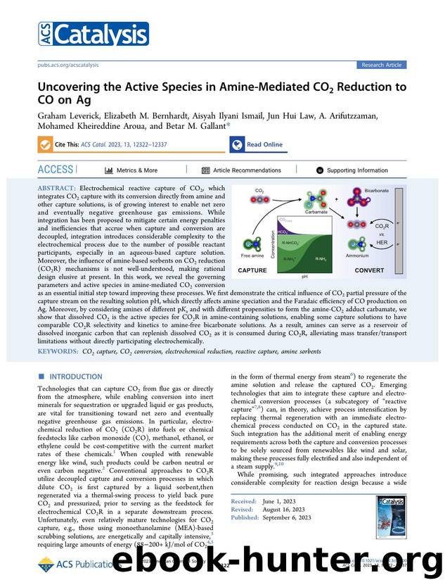 Uncovering the Active Species in Amine-Mediated CO2 Reduction to CO on Ag by unknow