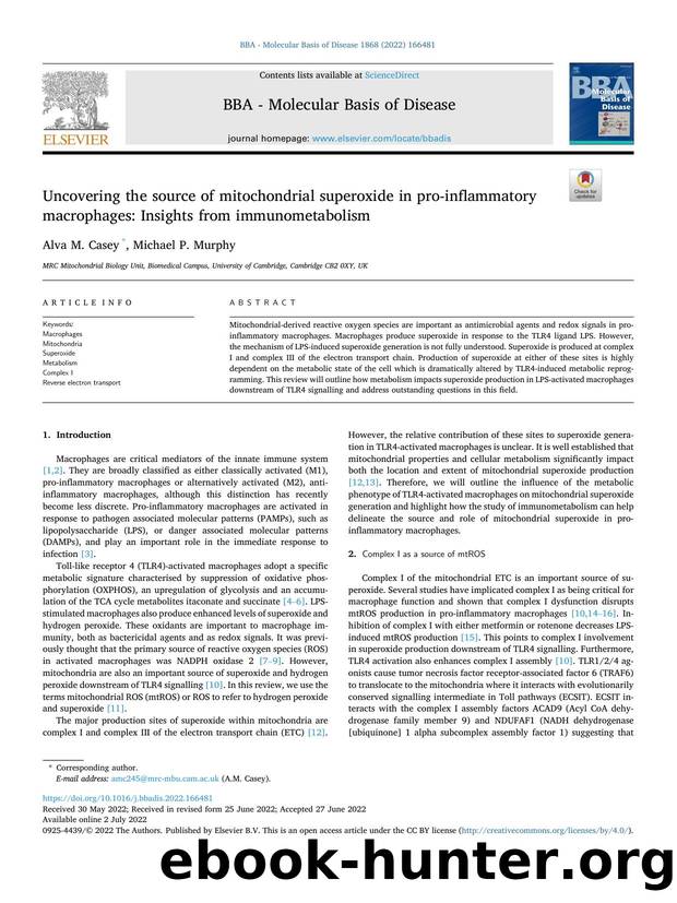 Uncovering the source of mitochondrial superoxide in pro-inflammatory macrophages: Insights from immunometabolism by Alva M. Casey & Michael P. Murphy