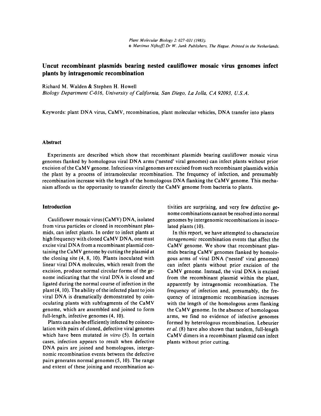 Uncut recombinant plasmids bearing nested cauliflower mosaic virus genomes infect plants by intragenomic recombination by Unknown