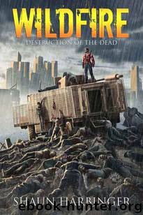 Undead Rain (Book 4): Wildfire (Destruction of the Dead) by Harbinger Shaun