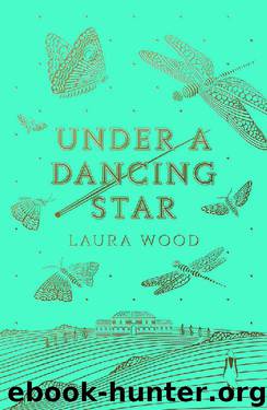 Under A Dancing Star by Laura Wood