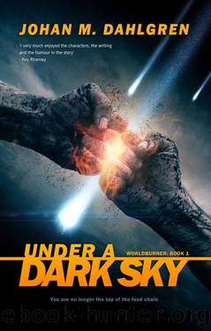 Under A Dark Sky (Worldburner Book 1) by Johan M. Dahlgren