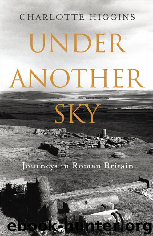 Under Another Sky by Charlotte Higgins