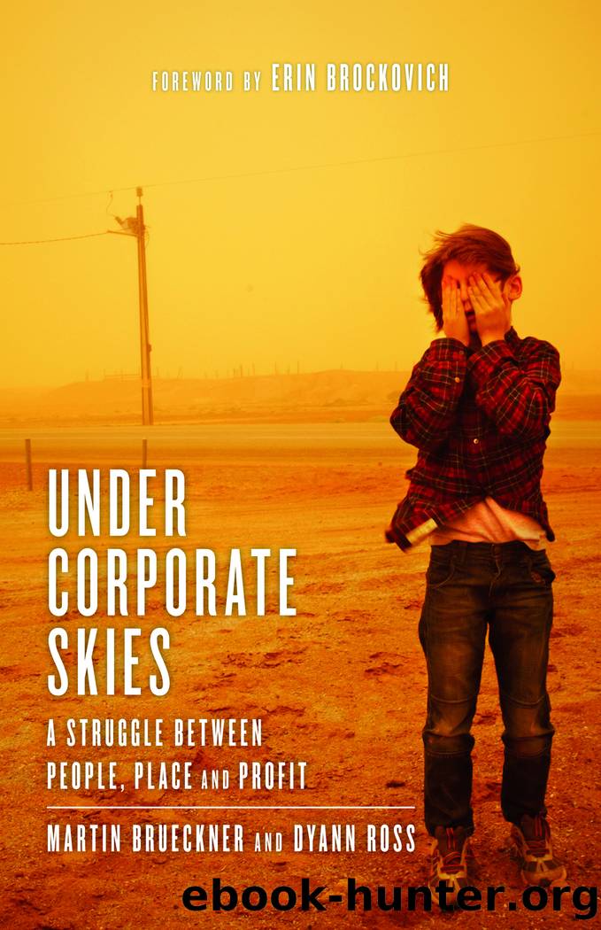 Under Corporate Skies by Brueckner Martin;Ross Dyann;Brockovich Erin;