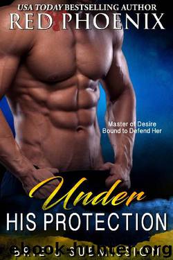 Under His Protection (Brie's Submission Book 14) by Red Phoenix