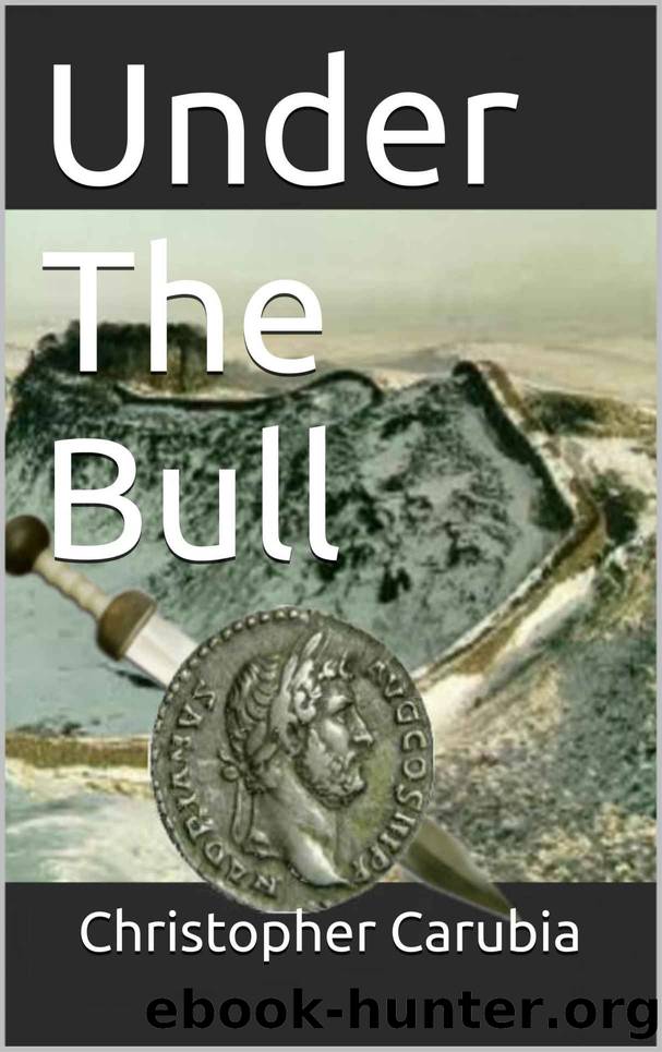 Under The Bull by Carubia Christopher