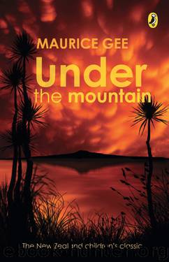 Under The Mountain by Maurice Gee