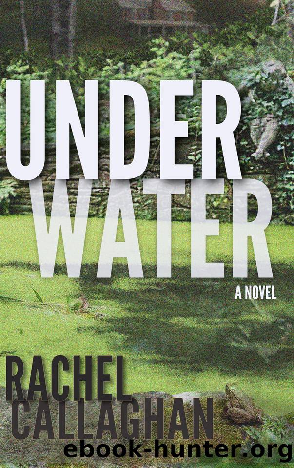 Under Water by Rachel Callaghan