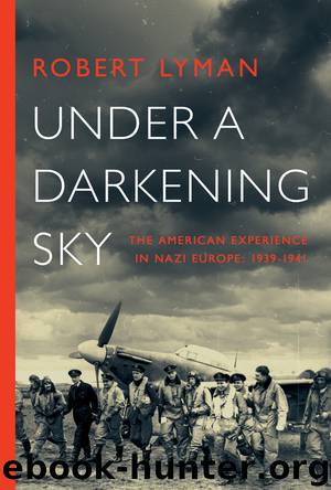 Under a Darkening Sky by Robert Lyman