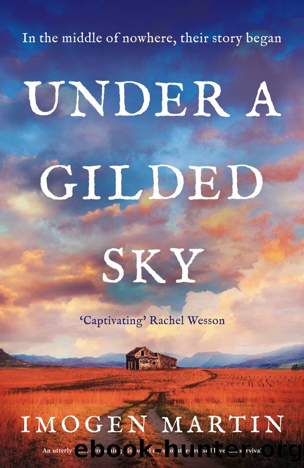 Under a Gilded Sky by Imogen Martin