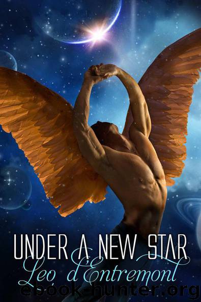 Under a New Star by Leo d'Entremont