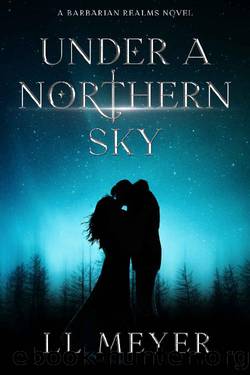 Under a Northern Sky (The Barbarian Realms Book 1) by LL Meyer