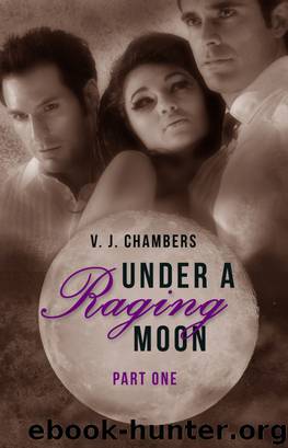 Under a Raging Moon: Part One by V. J. Chambers