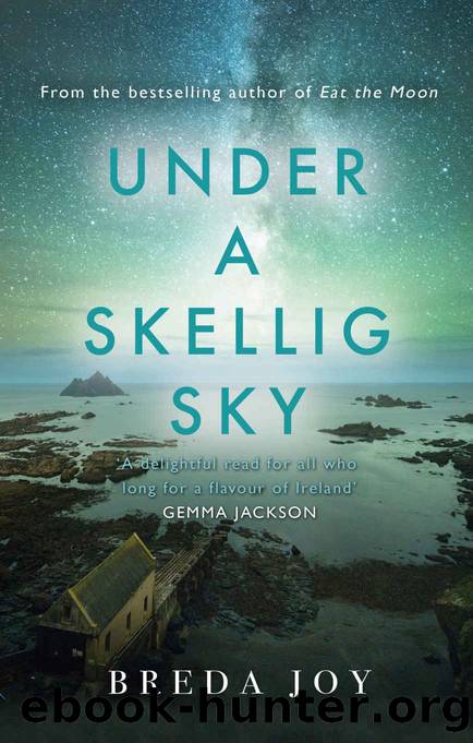 Under a Skellig Sky by Breda Joy