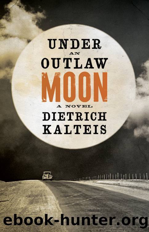 Under an Outlaw Moon by Dietrich Kalteis