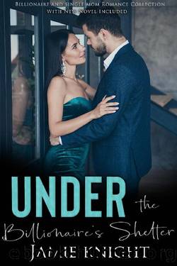 Under the Billionaire's Shelter: Billionaire and Single Mom Romance Collection With New Novel Included (Under Him Book 5) by Jamie Knight