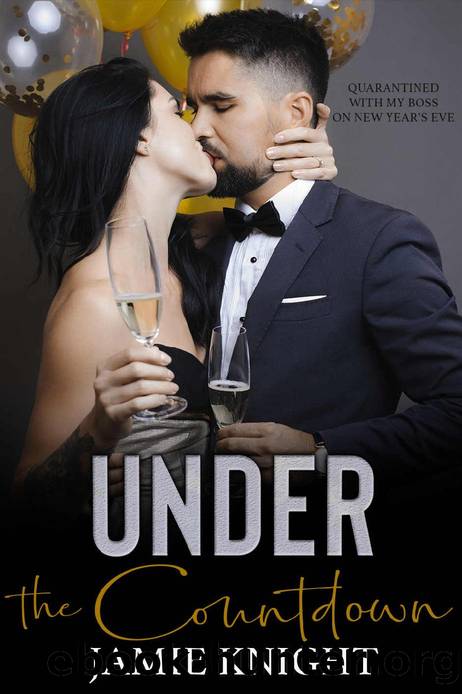 Under the Countdown: Quarantined with My Boss on New Year's Eve by Jamie Knight