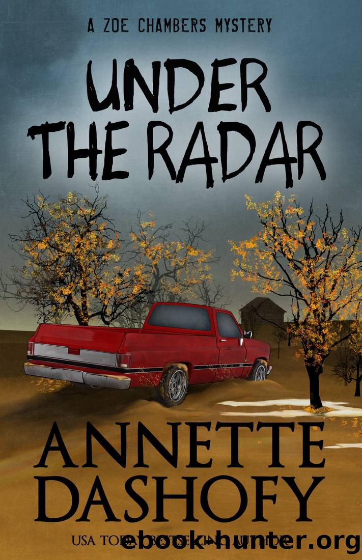 Under the Radar by Annette Dashofy