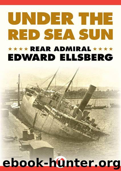 Under the Red Sea Sun by Ellsberg Edward