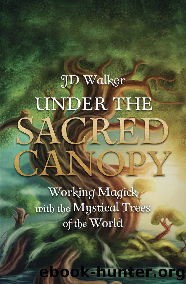 Under the Sacred Canopy by JD Walker
