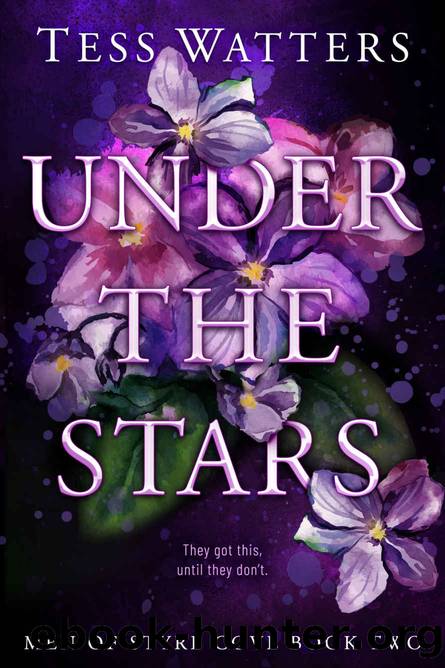 Under the Stars (Men of Styre Cove Book 2) by Tess Watters