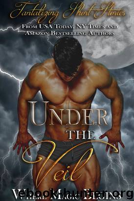 Under the Veil: Tantalizing Short Stories by Elianne Adams