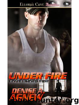 UnderFire by Denise A. Agnew