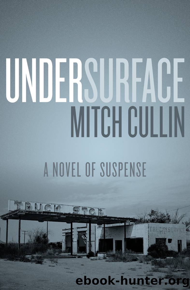 UnderSurface: a Novel of Suspense by Mitch Cullin