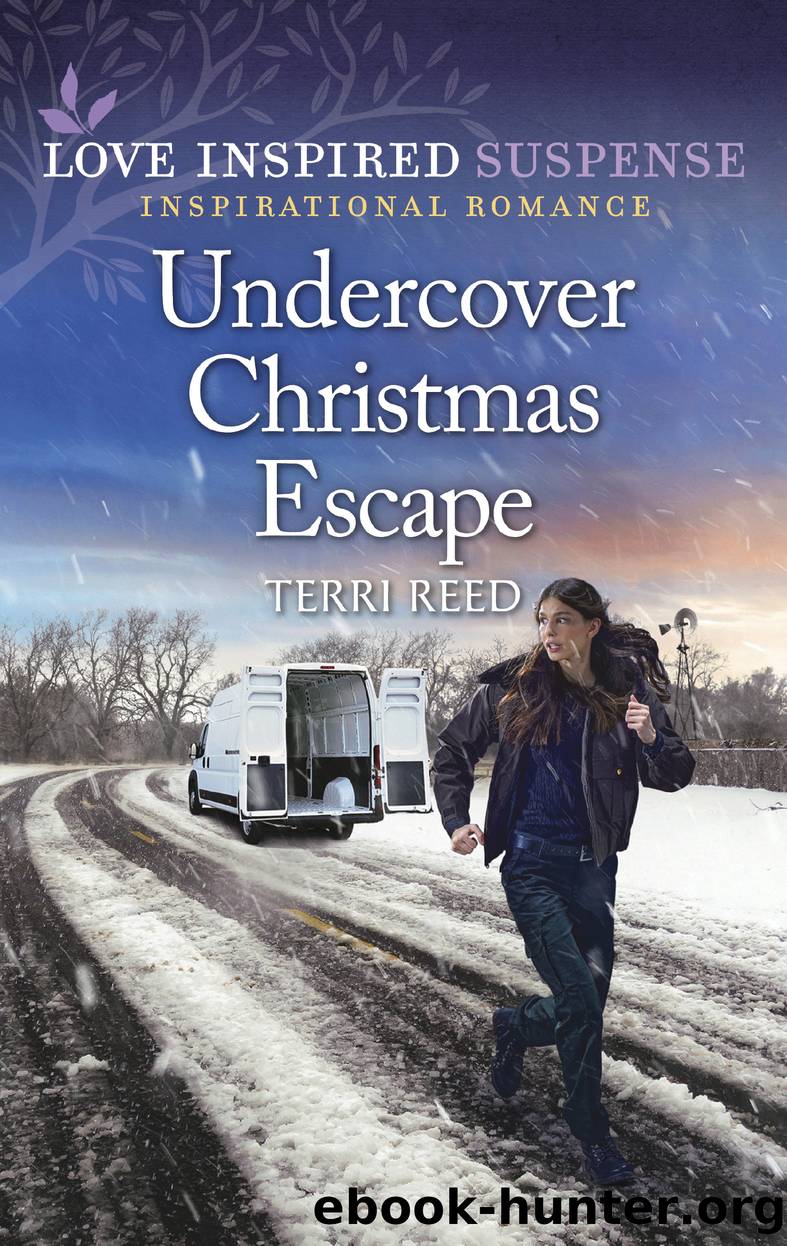 Undercover Christmas Escape by Terri Reed