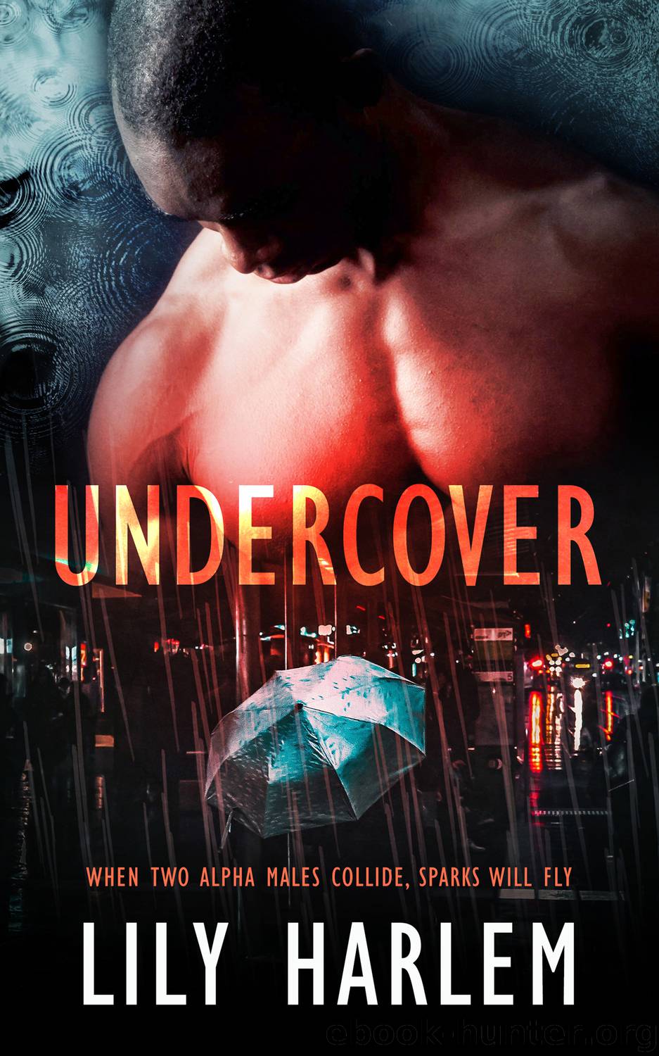 Undercover by Lily Harlem