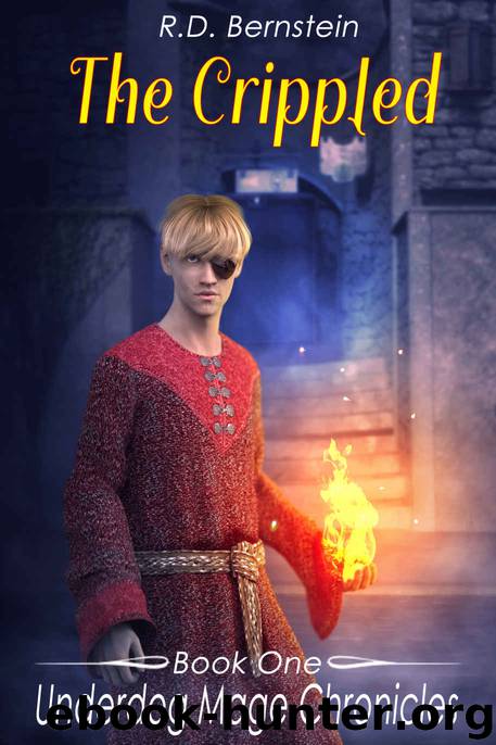 Underdog Mage Chronicles by R. D. Bernstein