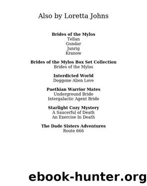 Underground Bride by Loretta Johns