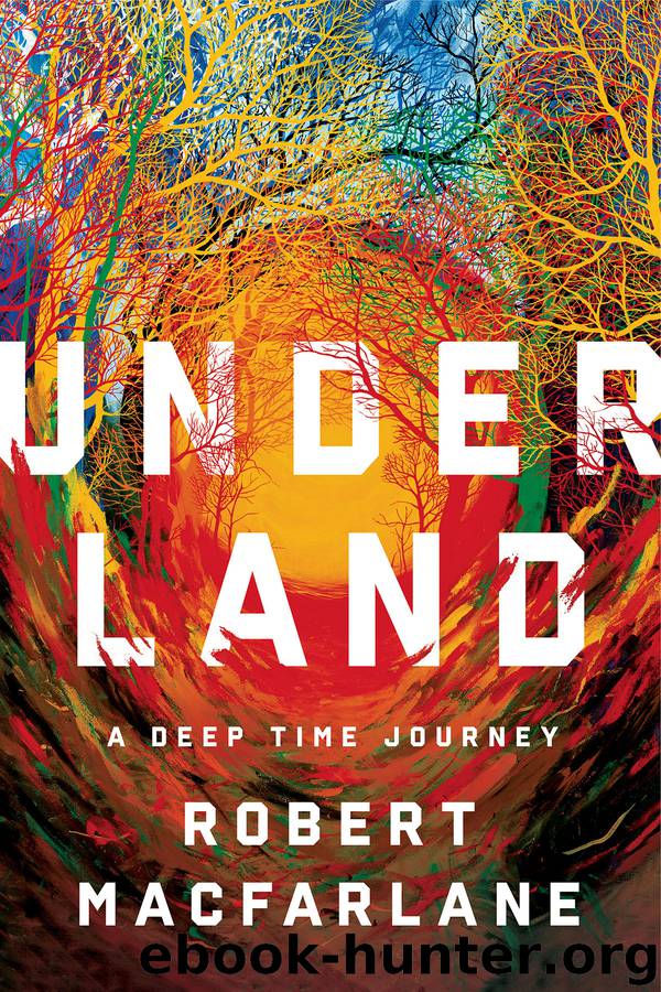 Underland by Macfarlane Robert & Robert Macfarlane