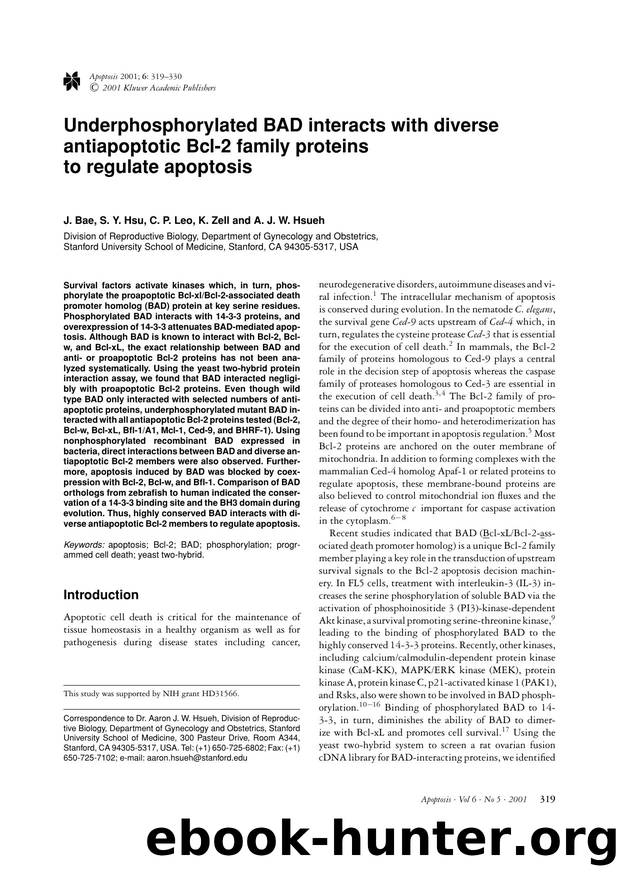 Underphosphorylated BAD interacts with diverse antiapoptotic Bcl-2 family proteins to regulate apoptosis by Unknown