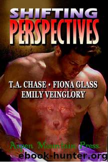 Understanding 1 - Shifting Perspectives by Emily Veinglory T. A. Chase Fiona Glass