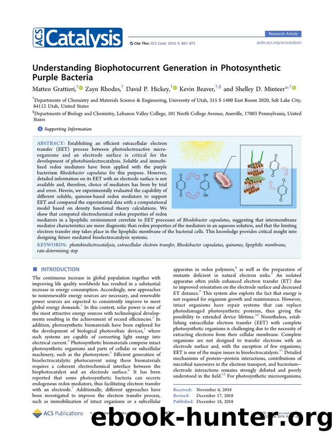 Understanding Biophotocurrent Generation in Photosynthetic Purple Bacteria by Matteo Grattieri Zayn Rhodes David P. Hickey Kevin Beaver and Shelley D. Minteer