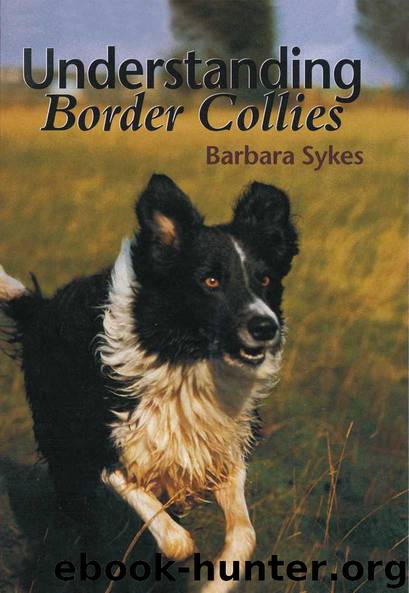 Understanding Border Collies by Barbara Sykes