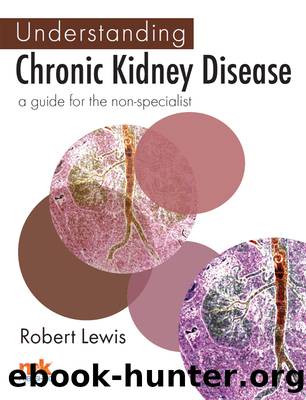 Understanding Chronic Kidney Disease by Lewis Robert;