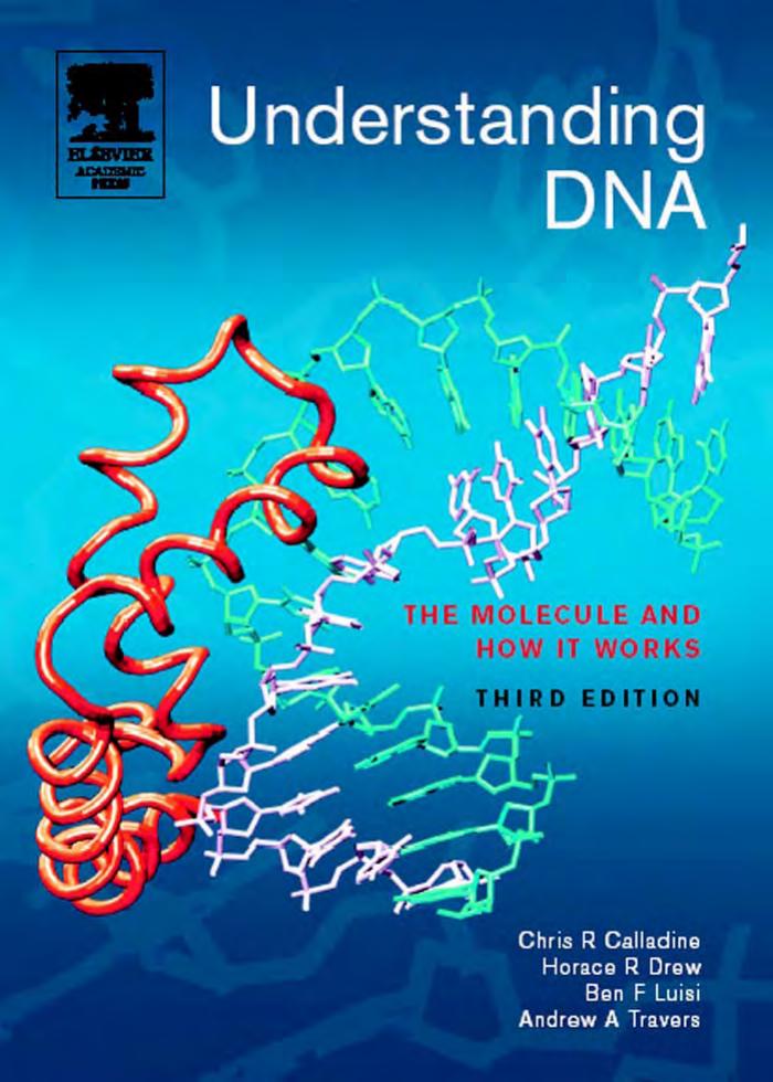 Understanding DNA, Third Edition: The Molecule and How it Works by Chris R. Calladine Horace Drew Ben Luisi Andrew Travers