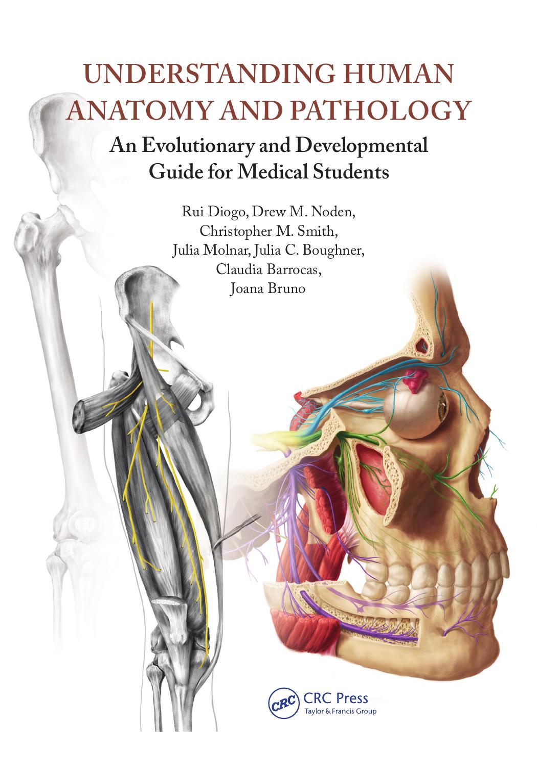 Understanding Human Anatomy and Pathology: An Evolutionary and Developmental Guide for Medical Students by Unknow