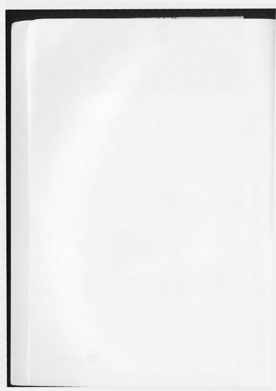 Understanding Japanese : A Handbook for Learners and Teachers by Yasuko Obana