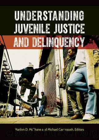 Understanding Juvenile Justice and Delinquency by Unknown