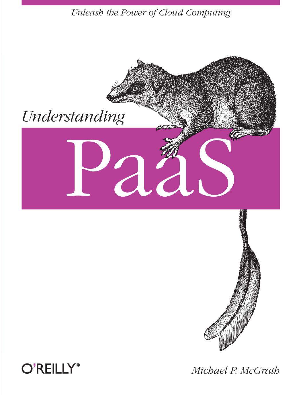 Understanding PaaS by Michael P. McGrath