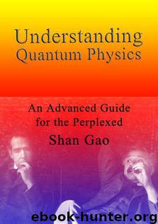 Understanding Quantum Physics: An Advanced Guide for the Perplexed by Gao Shan
