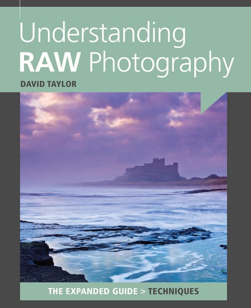 Understanding RAW Photography by David Taylor
