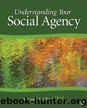 Understanding Your Social Agency by Armand Lauffer