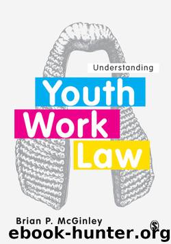 Understanding Youth Work Law by brian p. mcginley